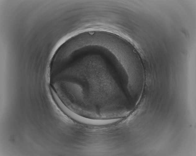 X0000111901522200908031106