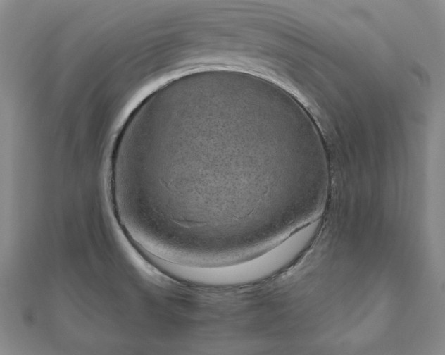 X0000111901523200908031106