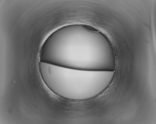 X0000111901524200908031106