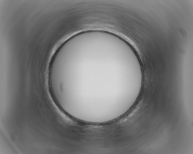 X0000111901525200908031106