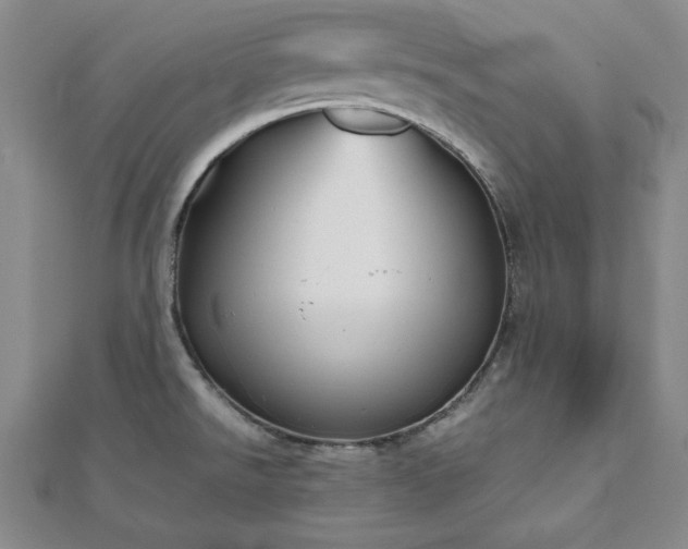 X0000111901526200908031106