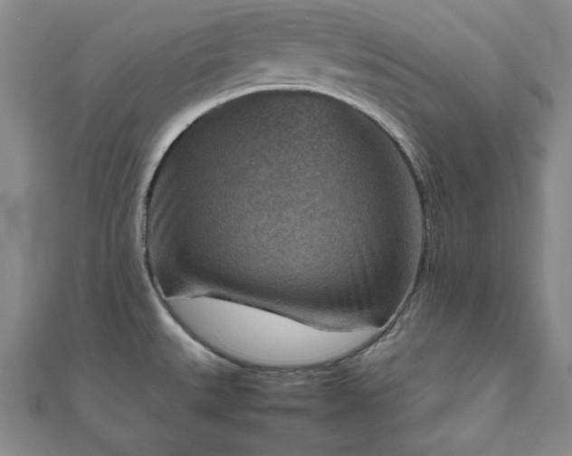 X0000111901527200908031106