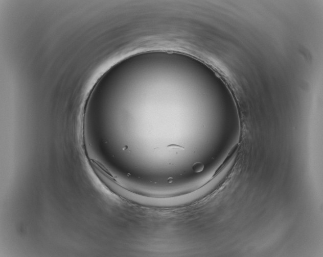 X0000111901528200908031106