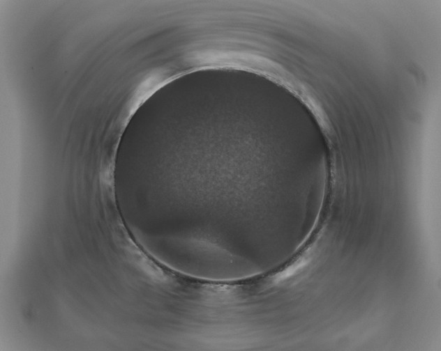 X0000111901529200908031106