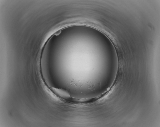 X0000111901530200908031106