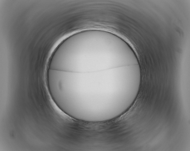 X0000111901531200908031106