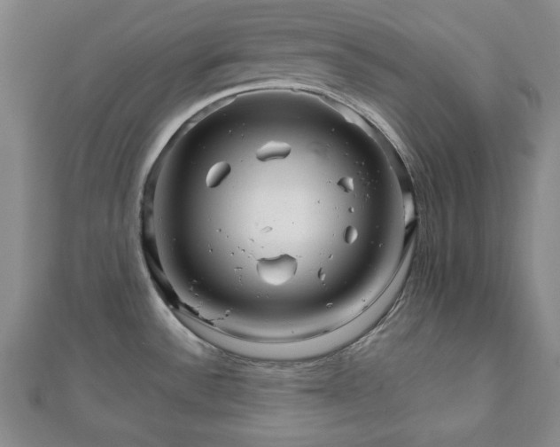 X0000111901532200908031106