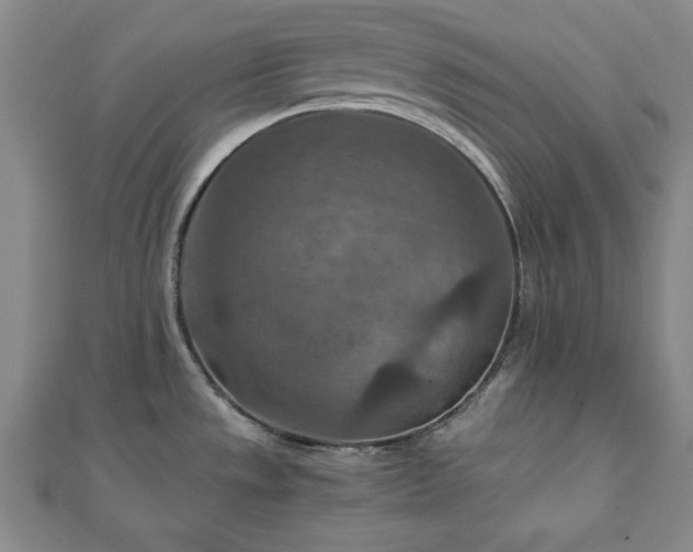 X0000111901533200908031106