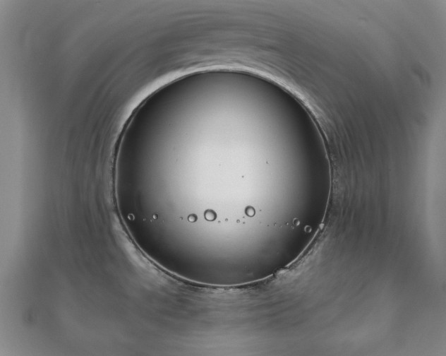 X0000111901534200908031106