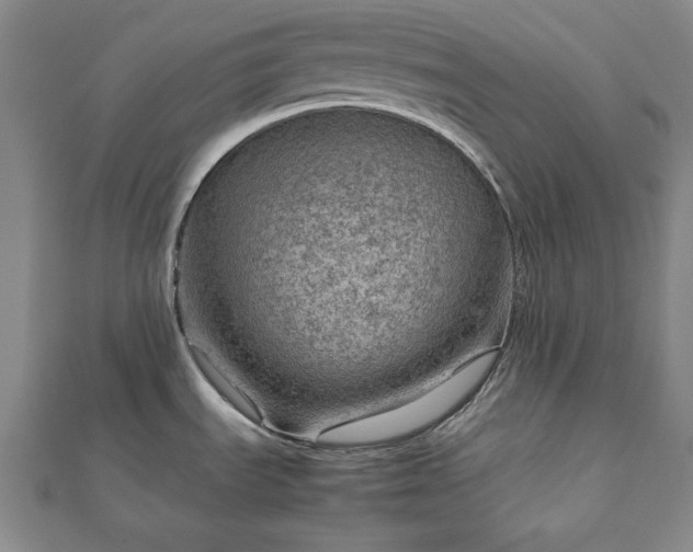 X0000111901535200908031106