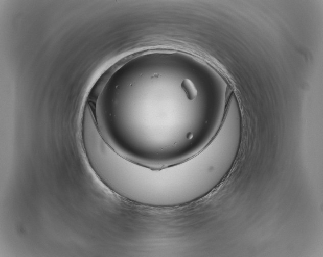 X0000111901536200908031106