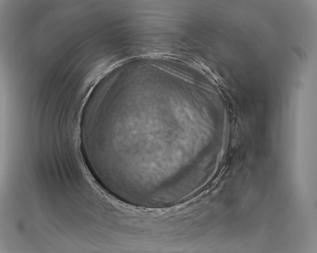 X0000111900002200908101149