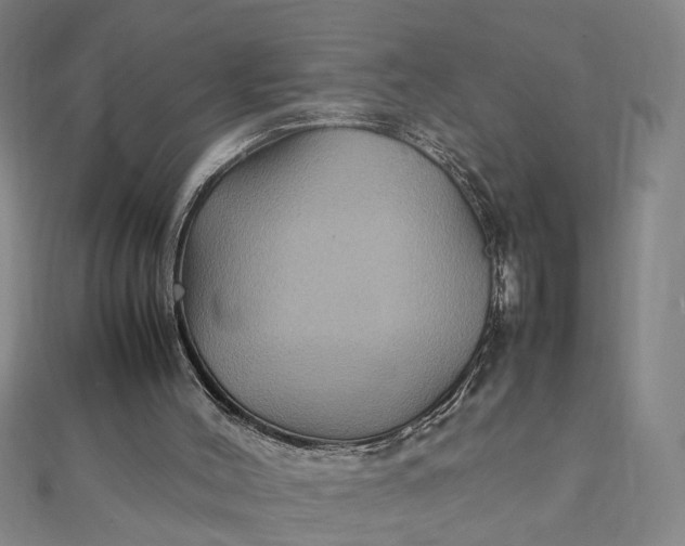 X0000111900004200908101149