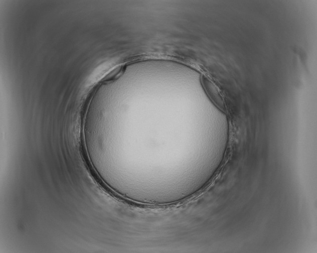 X0000111900005200908101149