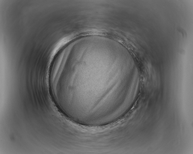 X0000111900006200908101149