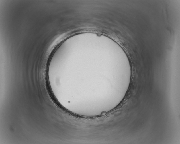 X0000111900007200908101149