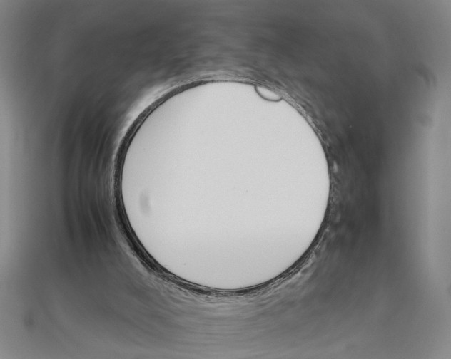 X0000111900008200908101149