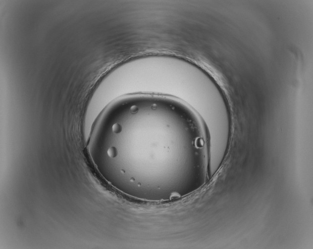 X0000111900009200908101149