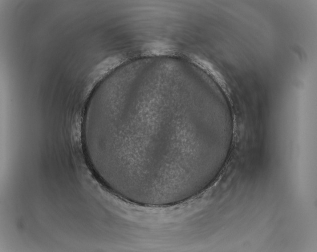 X0000111900010200908101149