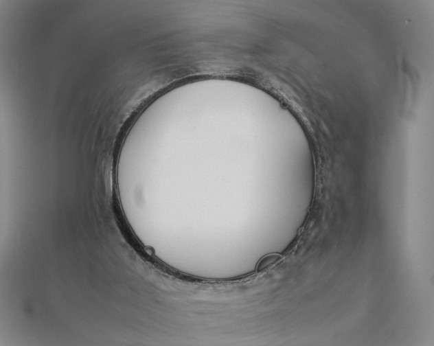 X0000111900011200908101149