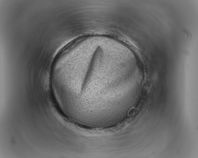 X0000111900012200908101149