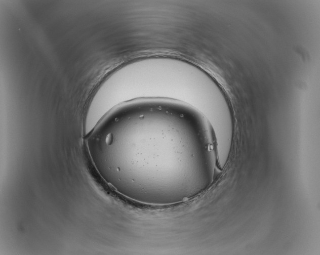 X0000111900013200908101149