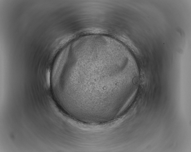 X0000111900014200908101149