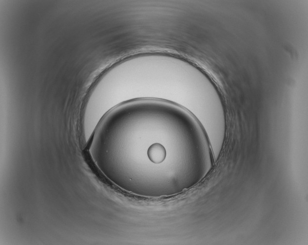 X0000111900015200908101149