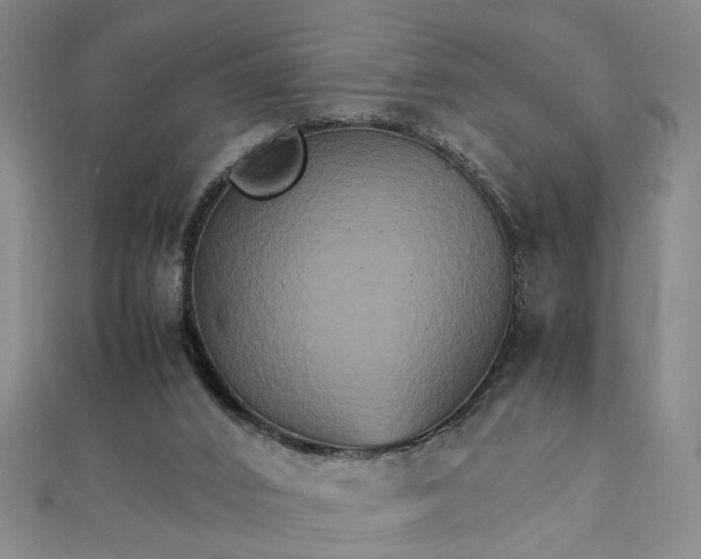 X0000111900016200908101149