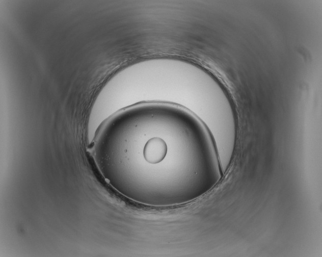 X0000111900017200908101149