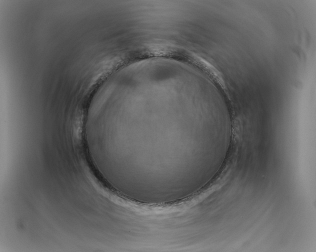 X0000111900018200908101149