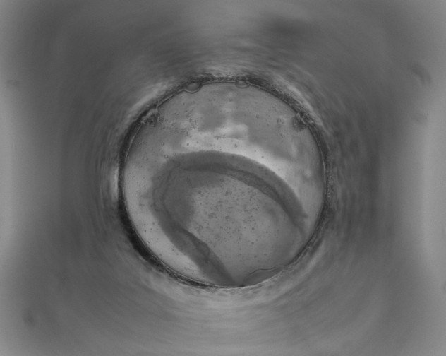 X0000111900019200908101149