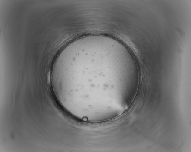 X0000111900021200908101149