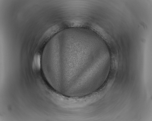 X0000111900022200908101149