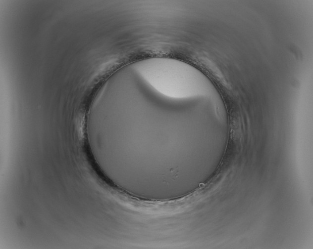 X0000111900023200908101149