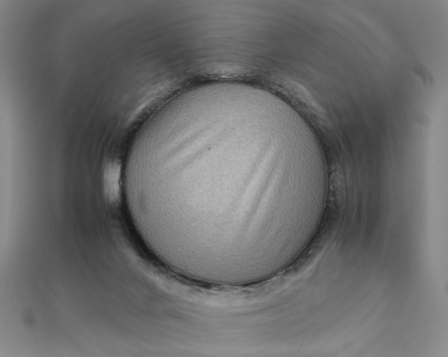 X0000111900024200908101149