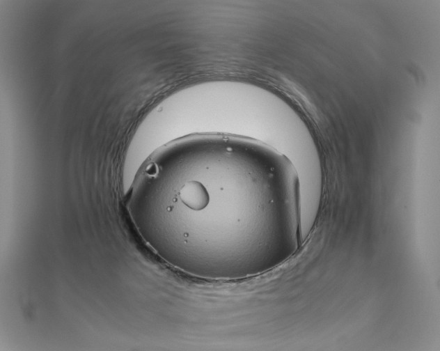 X0000111900025200908101149