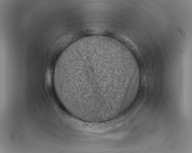 X0000111900026200908101149