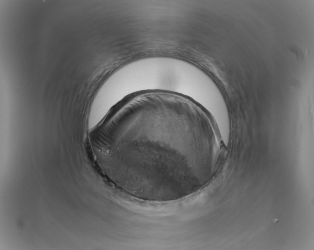 X0000111900027200908101149