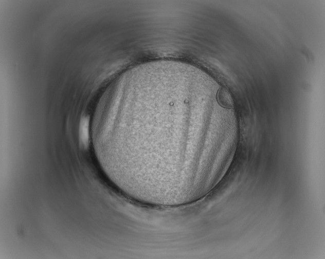 X0000111900028200908101149