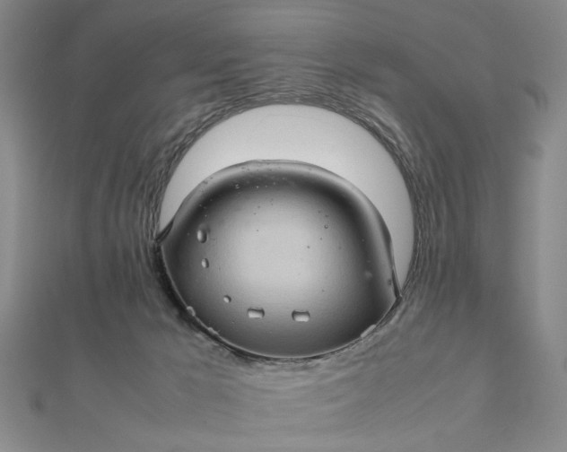 X0000111900029200908101149