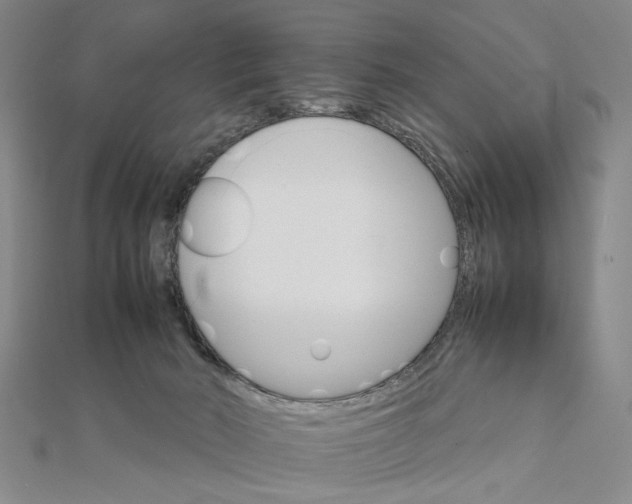 X0000111900030200908101149