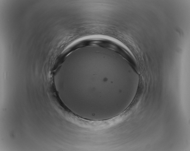 X0000111900031200908101149