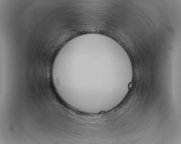 X0000111900032200908101149