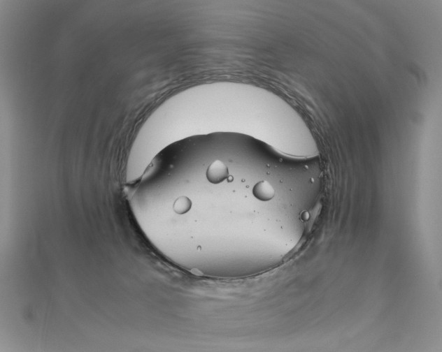 X0000111900033200908101149