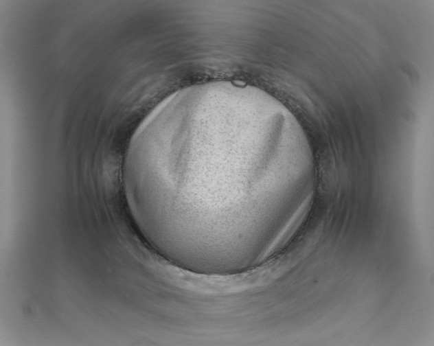 X0000111900034200908101149