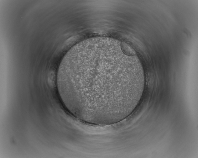 X0000111900036200908101149