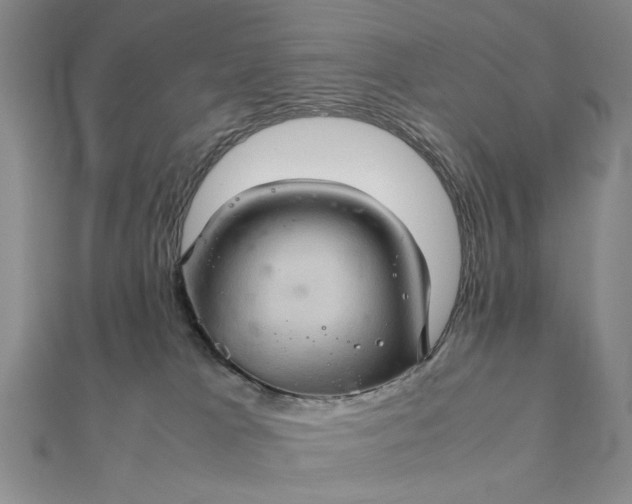 X0000111900037200908101149