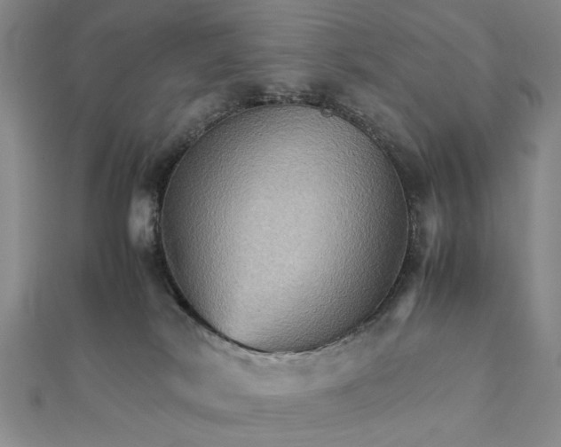 X0000111900038200908101149