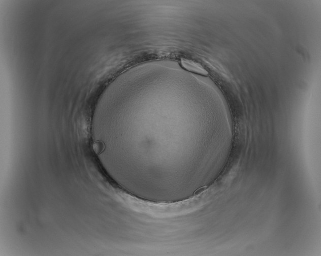 X0000111900039200908101149